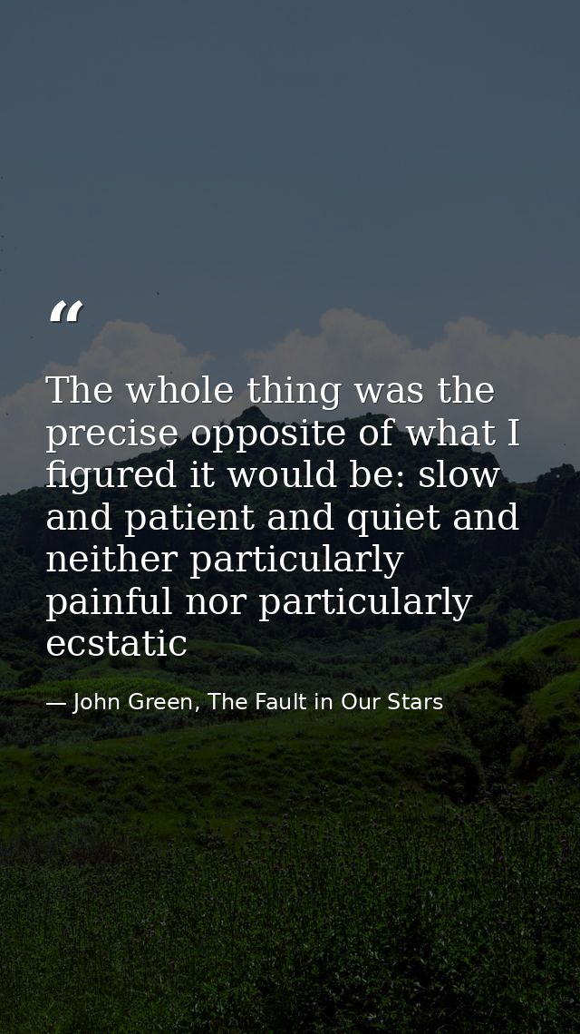 The whole thing was the precise opposite of what I figured it would be: slow and patient and quiet and neither particula — John Green, The Fault in Our Stars