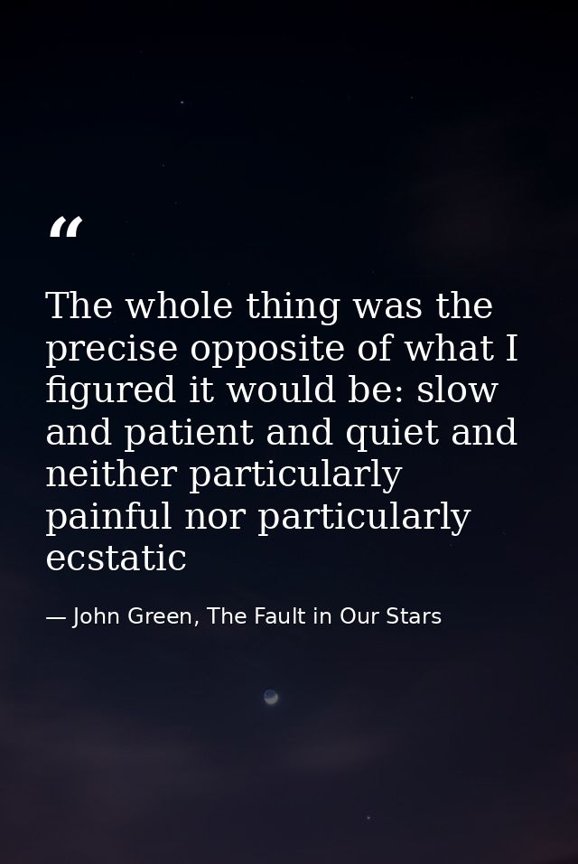 The whole thing was the precise opposite of what I figured it would be: slow and patient and quiet and neither particula — John Green, The Fault in Our Stars