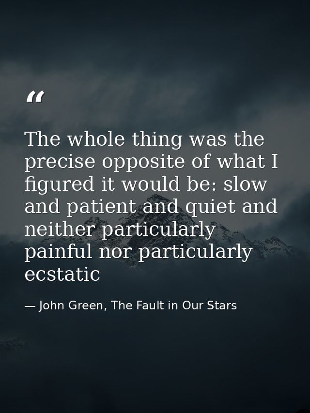 The whole thing was the precise opposite of what I figured it would be: slow and patient and quiet and neither particula — John Green, The Fault in Our Stars