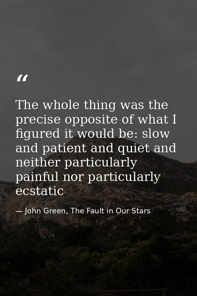The whole thing was the precise opposite of what I figured it would be: slow and patient and quiet and neither particula — John Green, The Fault in Our Stars