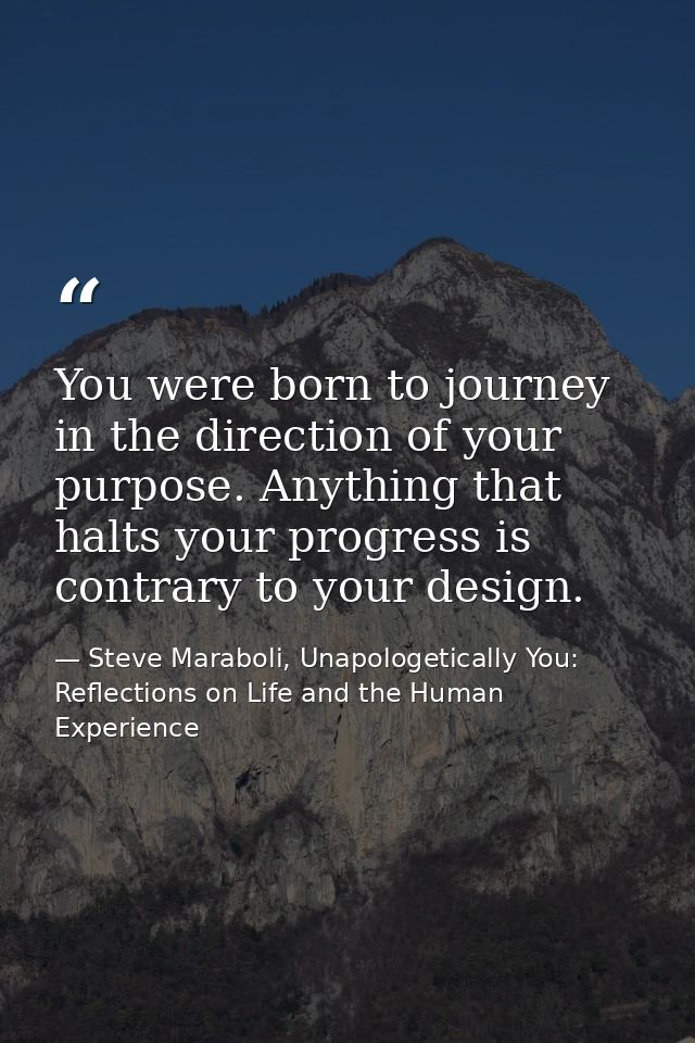 You were born to journey in the direction of your purpose. Anything that halts your progress is contrary to your design. — Steve Maraboli, Unapologetically You: Reflections on Life and the Human Experience