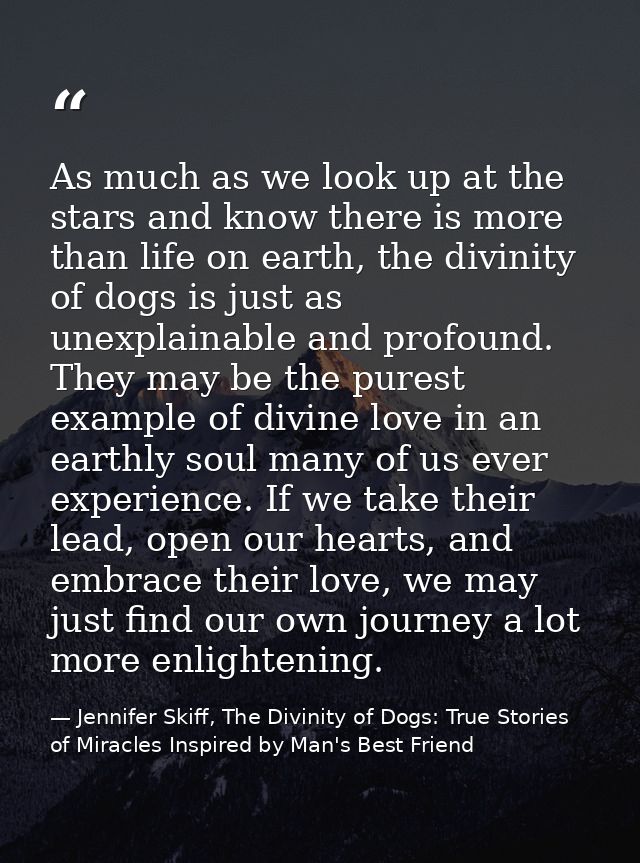 As much as we look up at the stars and know there is more than life on earth, the divinity of dogs is just as unexplaina — Jennifer Skiff, The Divinity of Dogs: True Stories of Miracles Inspired by Man's Best Friend