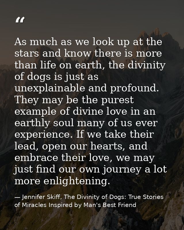As much as we look up at the stars and know there is more than life on earth, the divinity of dogs is just as unexplaina — Jennifer Skiff, The Divinity of Dogs: True Stories of Miracles Inspired by Man's Best Friend