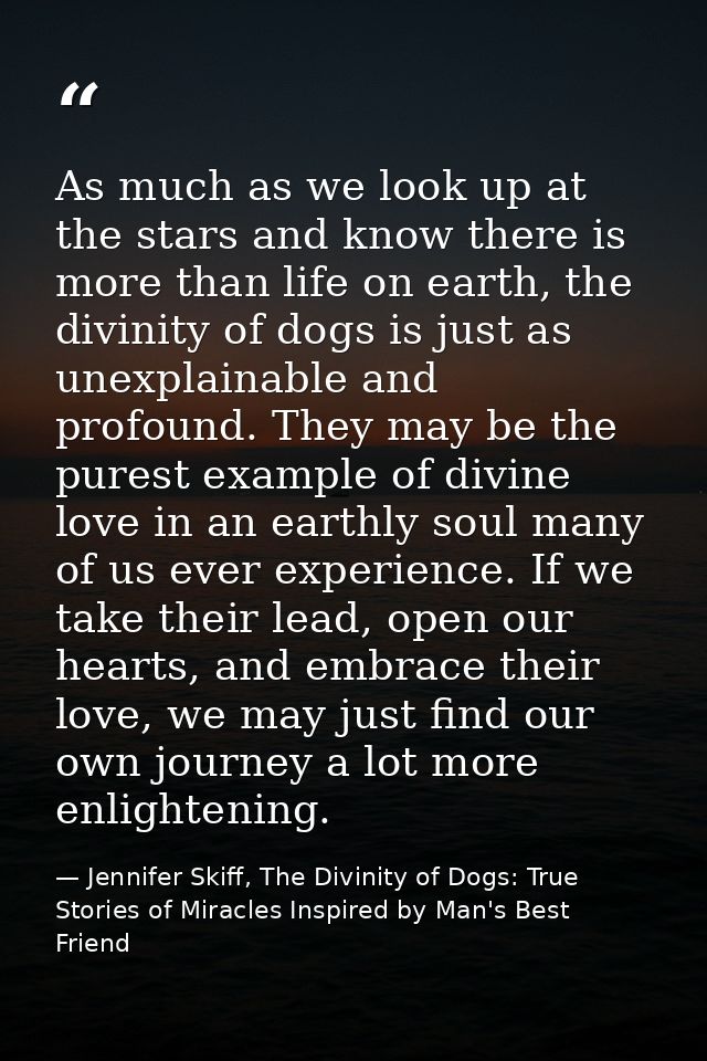 As much as we look up at the stars and know there is more than life on earth, the divinity of dogs is just as unexplaina — Jennifer Skiff, The Divinity of Dogs: True Stories of Miracles Inspired by Man's Best Friend