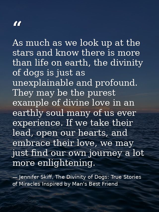 As much as we look up at the stars and know there is more than life on earth, the divinity of dogs is just as unexplaina — Jennifer Skiff, The Divinity of Dogs: True Stories of Miracles Inspired by Man's Best Friend