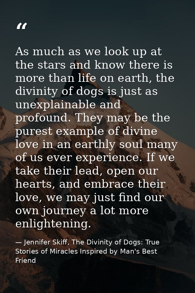 As much as we look up at the stars and know there is more than life on earth, the divinity of dogs is just as unexplaina — Jennifer Skiff, The Divinity of Dogs: True Stories of Miracles Inspired by Man's Best Friend