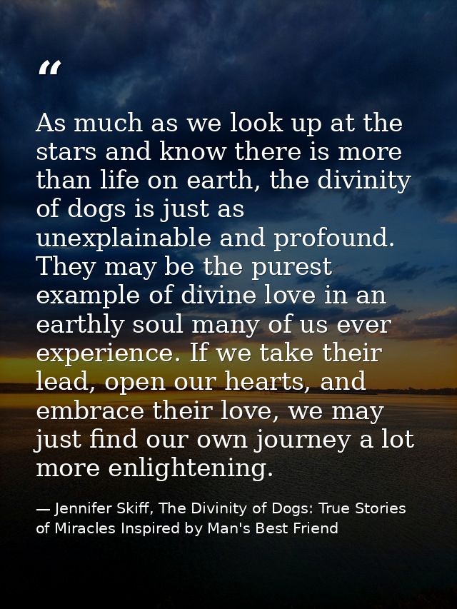 As much as we look up at the stars and know there is more than life on earth, the divinity of dogs is just as unexplaina — Jennifer Skiff, The Divinity of Dogs: True Stories of Miracles Inspired by Man's Best Friend