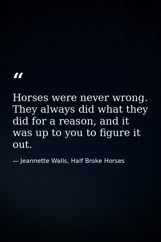 Horses were never wrong. They always did what they did for a reason, and it was up to you to figure it out. — Jeannette Walls, Half Broke Horses