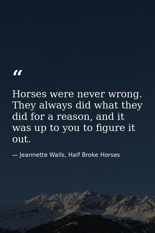 Horses were never wrong. They always did what they did for a reason, and it was up to you to figure it out. — Jeannette Walls, Half Broke Horses