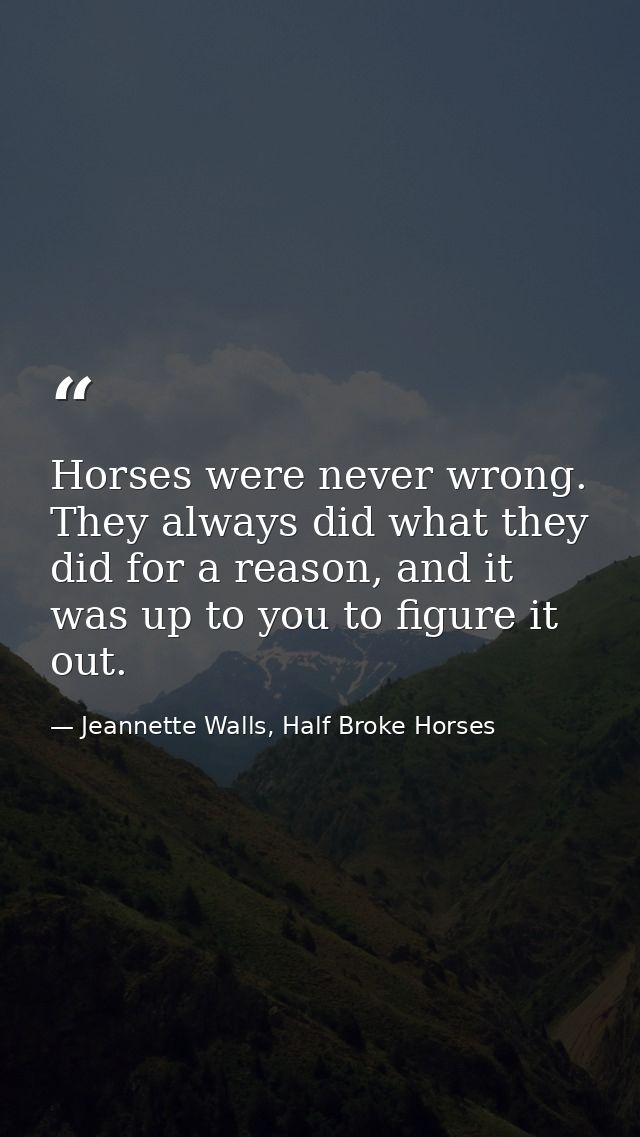 Horses were never wrong. They always did what they did for a reason, and it was up to you to figure it out. — Jeannette Walls, Half Broke Horses