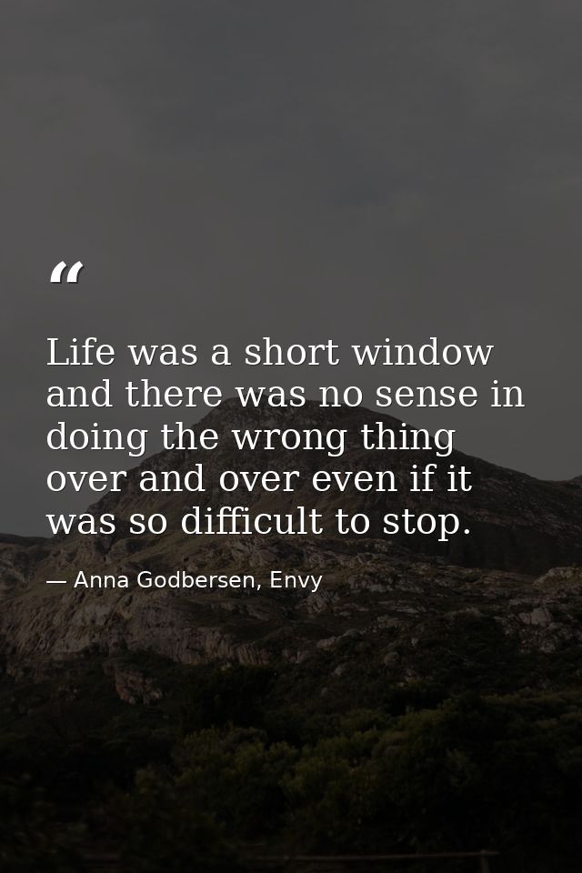 Life was a short window and there was no sense in doing the wrong thing over and over even if it was so difficult to sto — Anna Godbersen, Envy