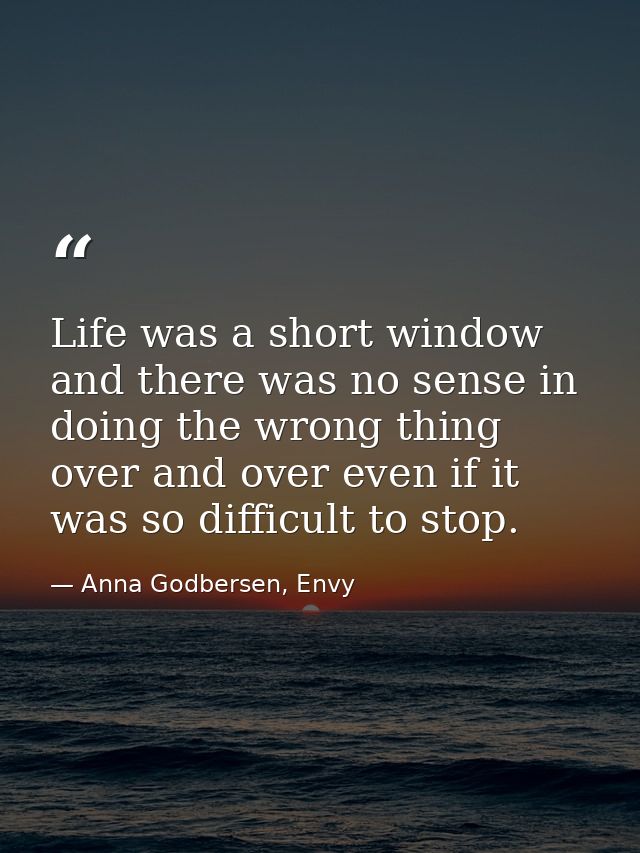 Life was a short window and there was no sense in doing the wrong thing over and over even if it was so difficult to sto — Anna Godbersen, Envy
