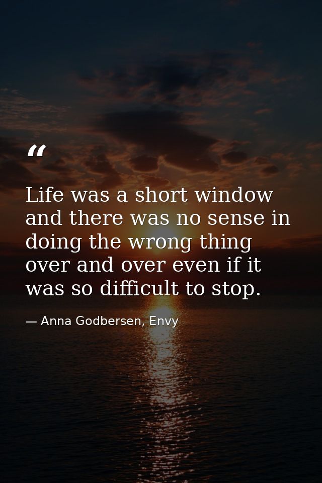 Life was a short window and there was no sense in doing the wrong thing over and over even if it was so difficult to sto — Anna Godbersen, Envy