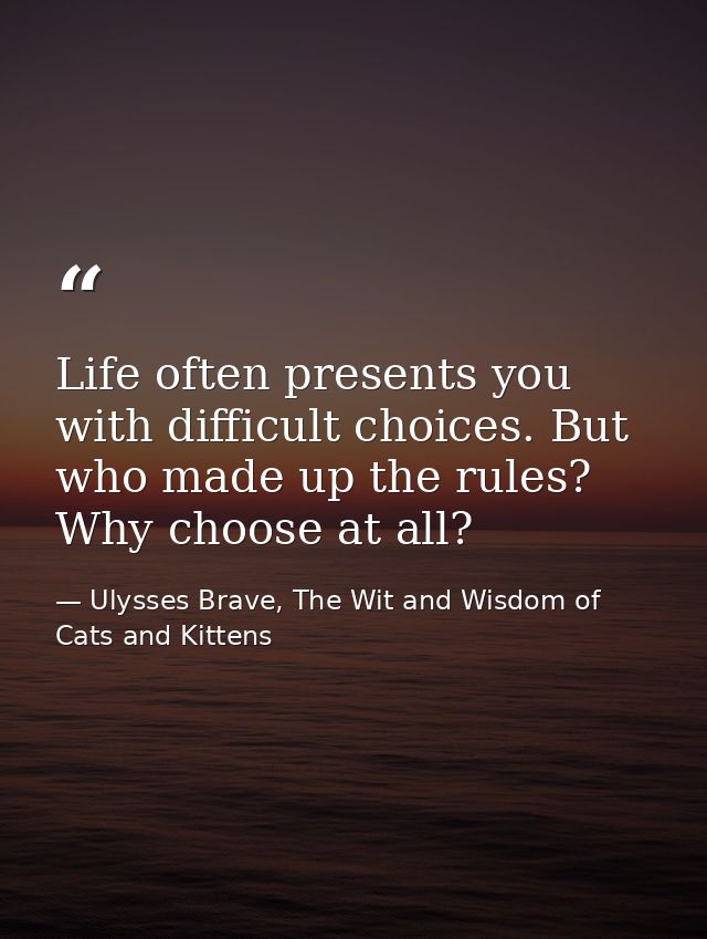 Life often presents you with difficult choices. But who made up the rules? Why choose at all? — Ulysses Brave, The Wit and Wisdom of Cats and Kittens