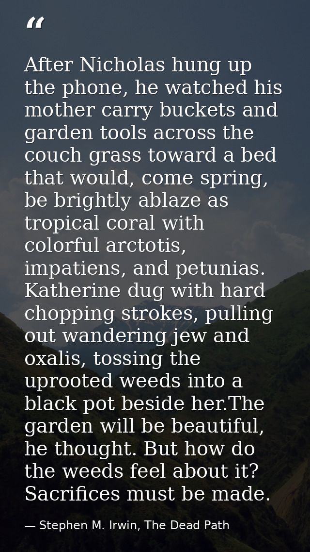 After Nicholas hung up the phone, he watched his mother carry buckets and garden tools across the couch grass toward a b — Stephen M. Irwin, The Dead Path