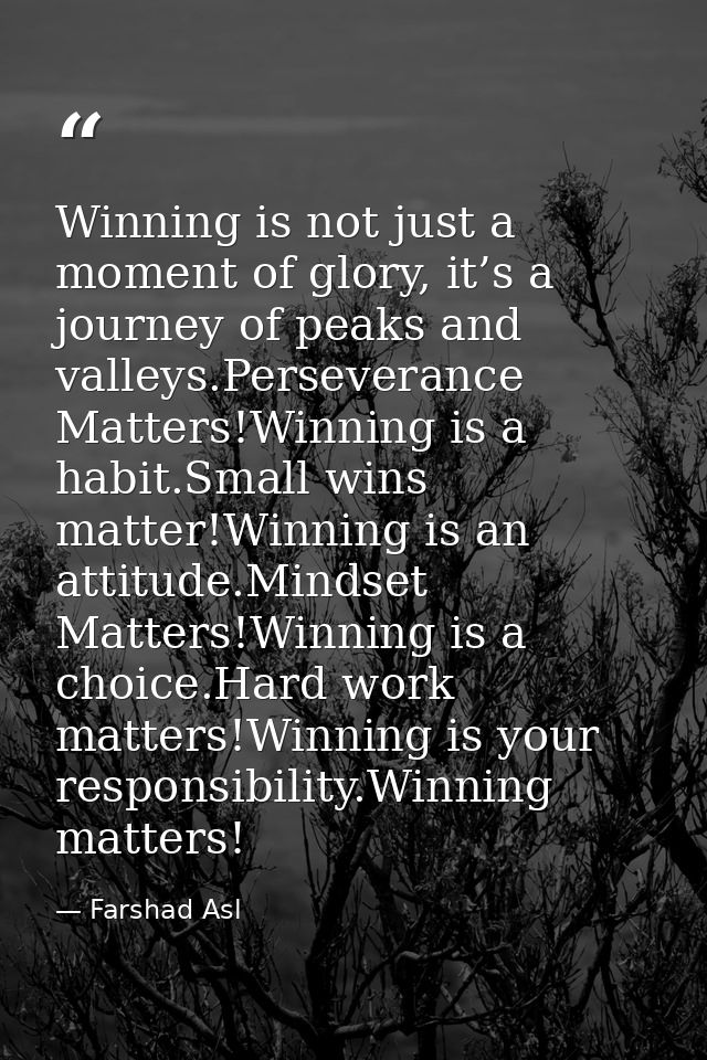 Winning is not just a moment of glory, it’s a journey of peaks and valleys.Perseverance Matters!Winning is a habit.Small — Farshad Asl