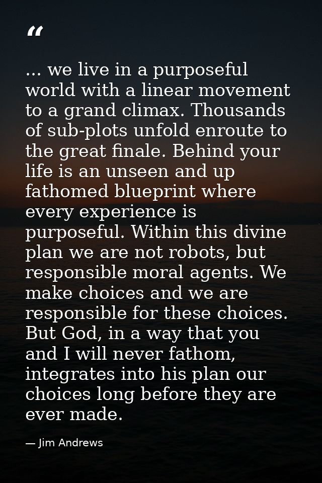 ... we live in a purposeful world with a linear movement to a grand climax. Thousands of sub-plots unfold enroute to the — Jim Andrews