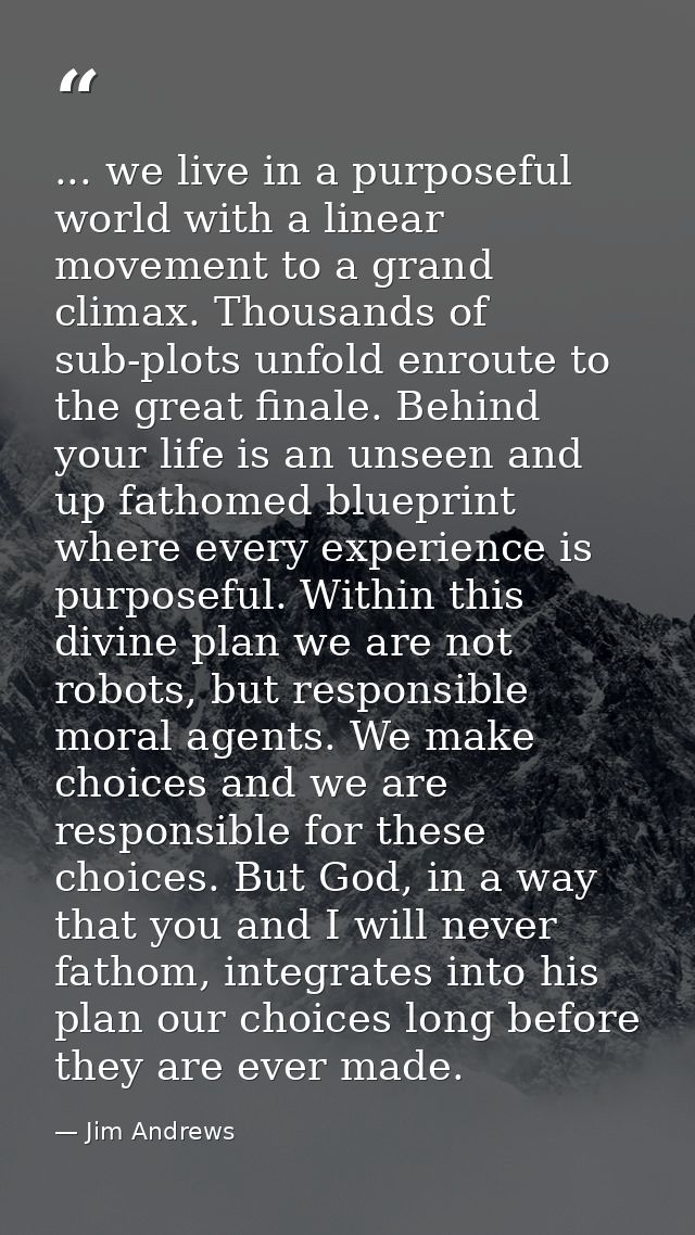 ... we live in a purposeful world with a linear movement to a grand climax. Thousands of sub-plots unfold enroute to the — Jim Andrews
