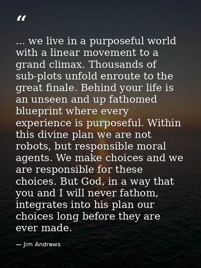 ... we live in a purposeful world with a linear movement to a grand climax. Thousands of sub-plots unfold enroute to the — Jim Andrews