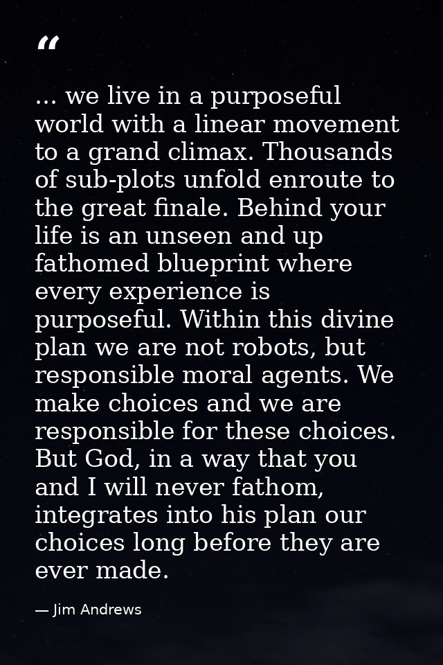 ... we live in a purposeful world with a linear movement to a grand climax. Thousands of sub-plots unfold enroute to the — Jim Andrews