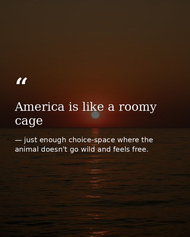 America is like a roomy cage — just enough choice-space where the animal doesn't go wild and feels free.