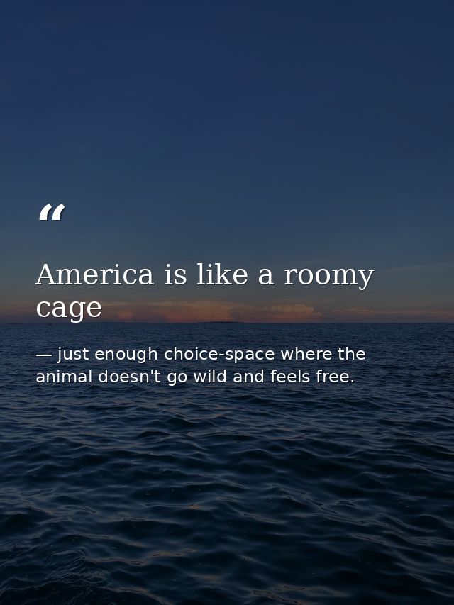 America is like a roomy cage — just enough choice-space where the animal doesn't go wild and feels free.