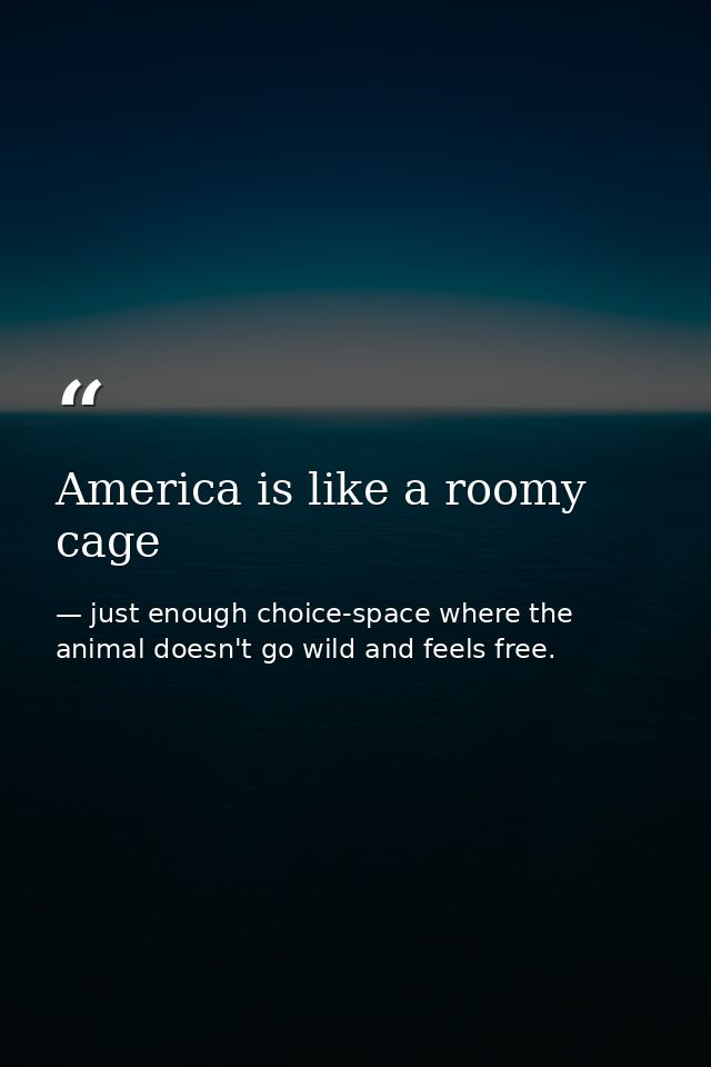 America is like a roomy cage — just enough choice-space where the animal doesn't go wild and feels free.