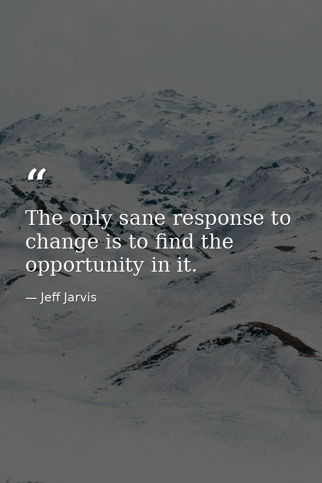 The only sane response to change is to find the opportunity in it. — Jeff Jarvis