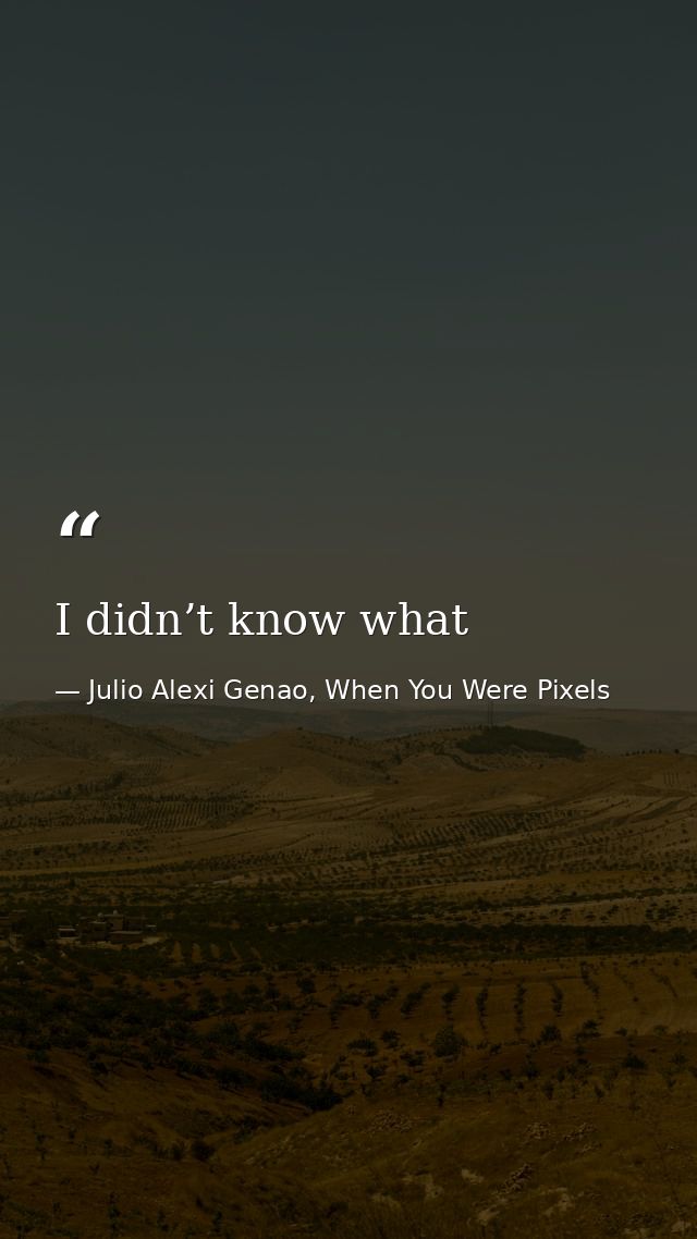I didn’t know what — Julio Alexi Genao, When You Were Pixels