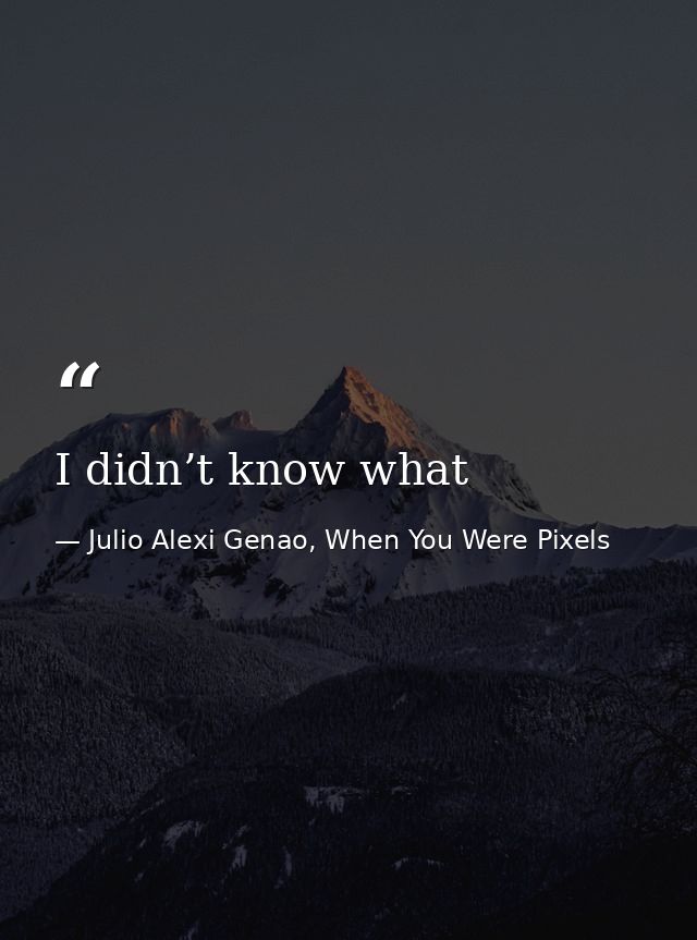 I didn’t know what — Julio Alexi Genao, When You Were Pixels