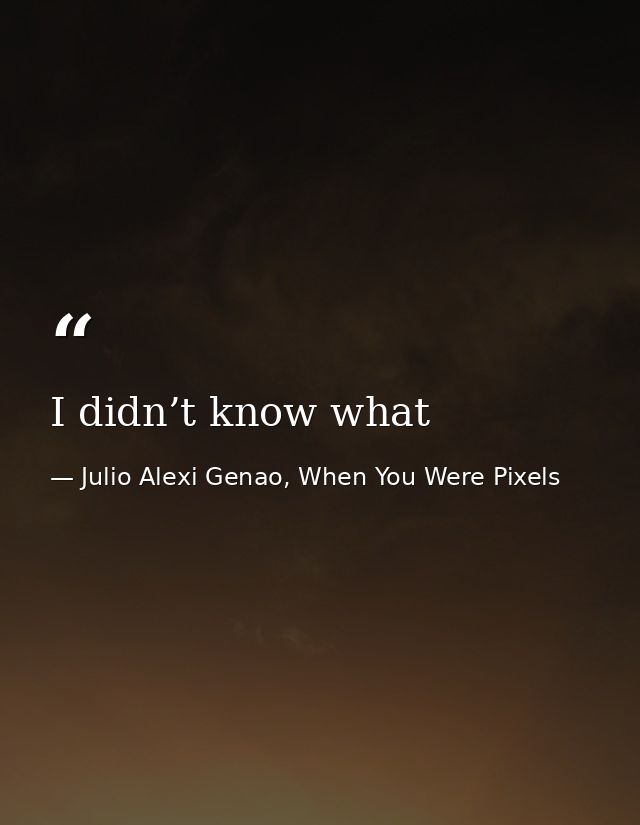 I didn’t know what — Julio Alexi Genao, When You Were Pixels