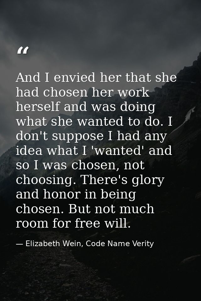 And I envied her that she had chosen her work herself and was doing what she wanted to do. I don't suppose I had any ide — Elizabeth Wein, Code Name Verity