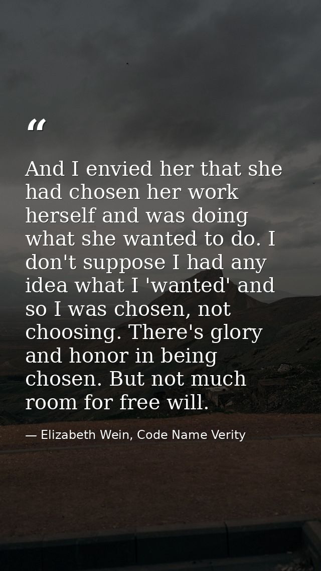 And I envied her that she had chosen her work herself and was doing what she wanted to do. I don't suppose I had any ide — Elizabeth Wein, Code Name Verity