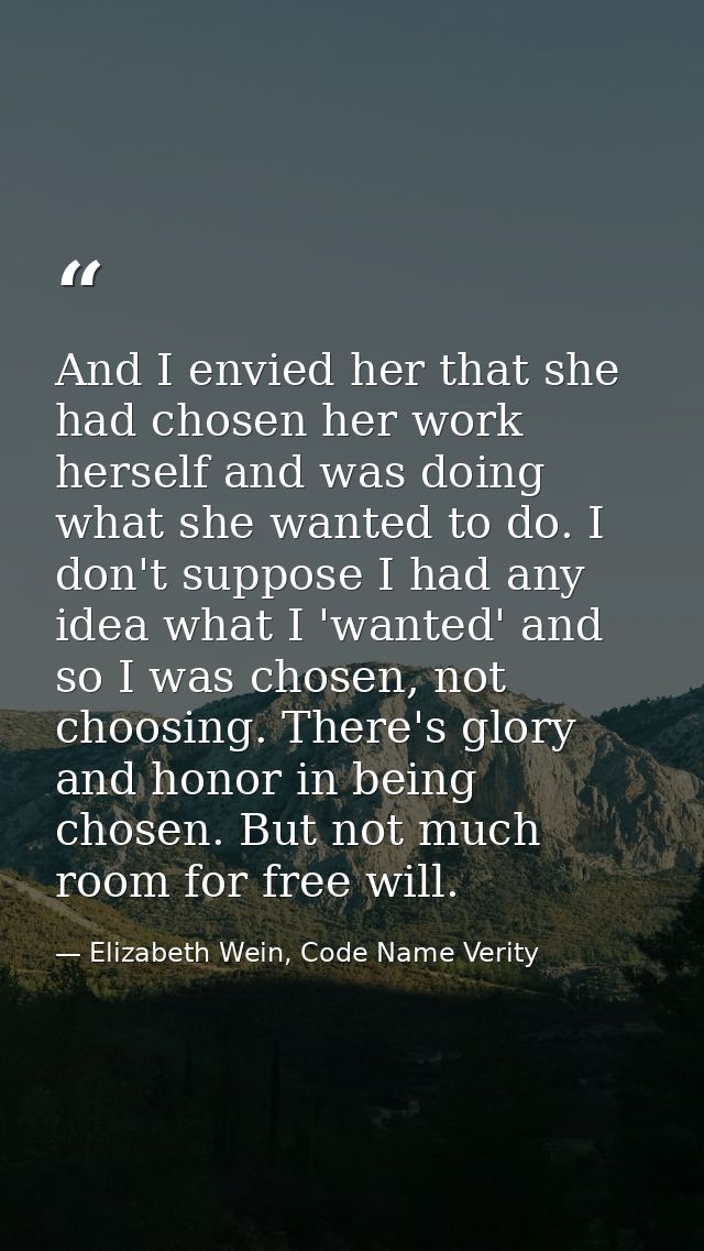 And I envied her that she had chosen her work herself and was doing what she wanted to do. I don't suppose I had any ide — Elizabeth Wein, Code Name Verity