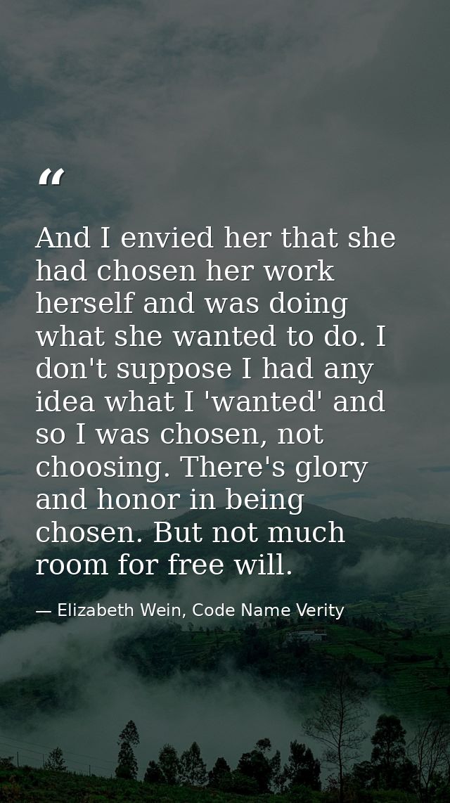 And I envied her that she had chosen her work herself and was doing what she wanted to do. I don't suppose I had any ide — Elizabeth Wein, Code Name Verity
