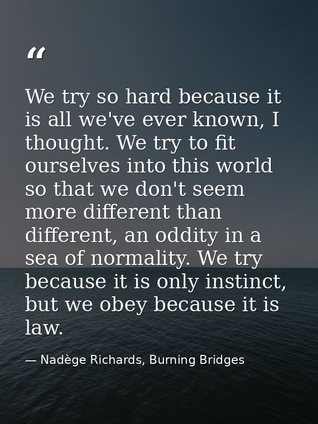 We try so hard because it is all we've ever known, I thought. We try to fit ourselves into this world so that we don't s — Nadège Richards, Burning Bridges