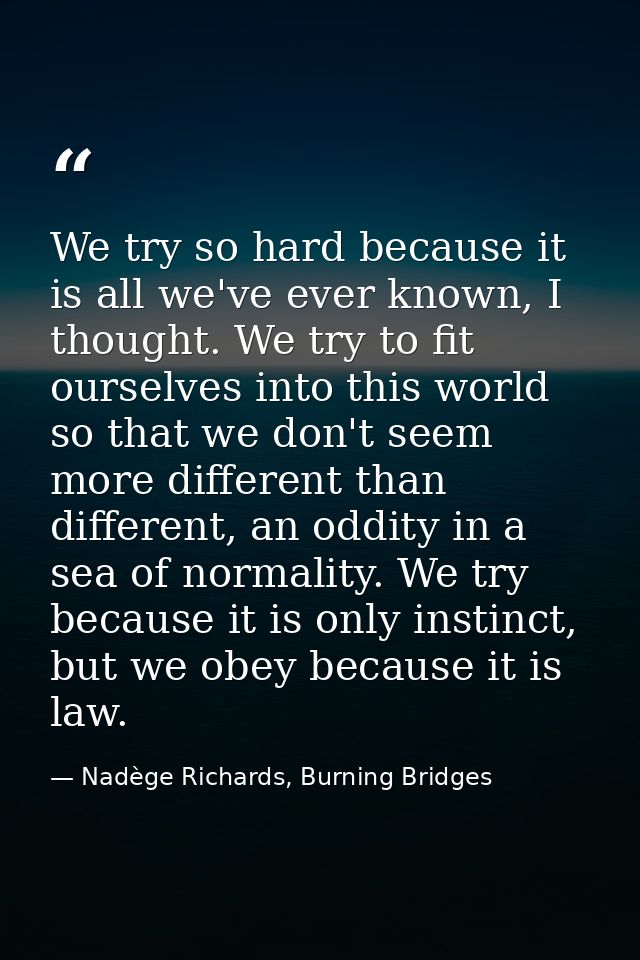We try so hard because it is all we've ever known, I thought. We try to fit ourselves into this world so that we don't s — Nadège Richards, Burning Bridges