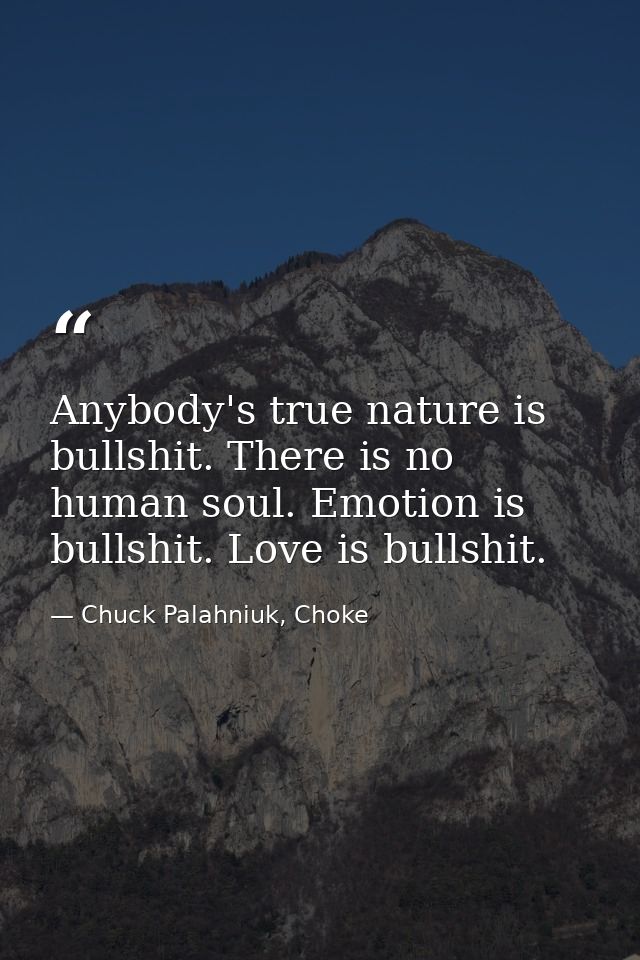 Anybody's true nature is bullshit. There is no human soul. Emotion is bullshit. Love is bullshit. — Chuck Palahniuk, Choke