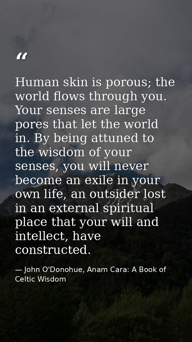 Human skin is porous; the world flows through you. Your senses are large pores that let the world in. By being attuned t — John O'Donohue, Anam Cara: A Book of Celtic Wisdom