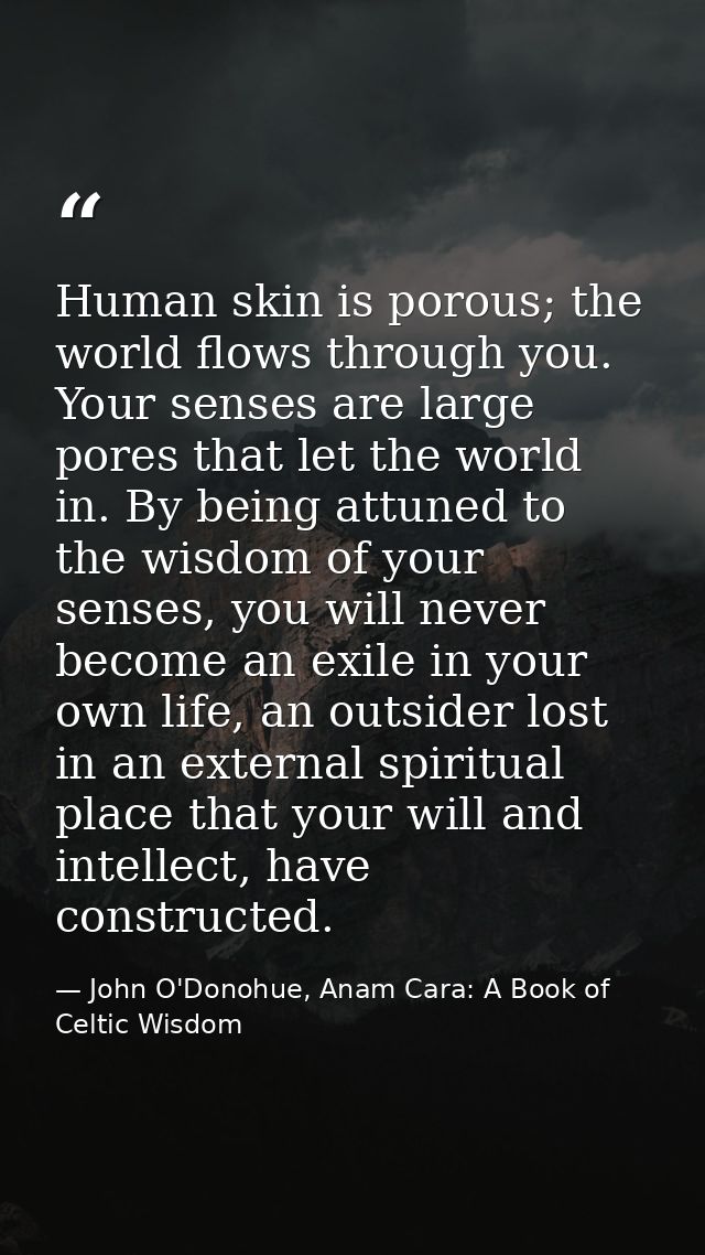 Human skin is porous; the world flows through you. Your senses are large pores that let the world in. By being attuned t — John O'Donohue, Anam Cara: A Book of Celtic Wisdom
