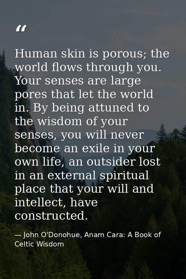Human skin is porous; the world flows through you. Your senses are large pores that let the world in. By being attuned t — John O'Donohue, Anam Cara: A Book of Celtic Wisdom
