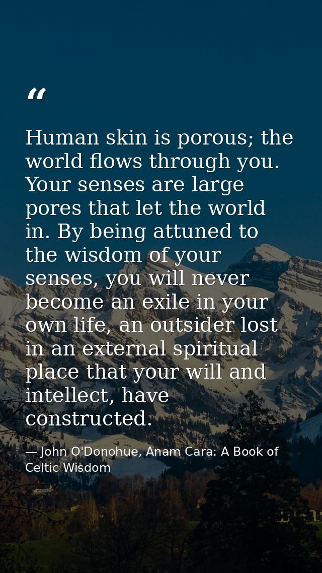 Human skin is porous; the world flows through you. Your senses are large pores that let the world in. By being attuned t — John O'Donohue, Anam Cara: A Book of Celtic Wisdom