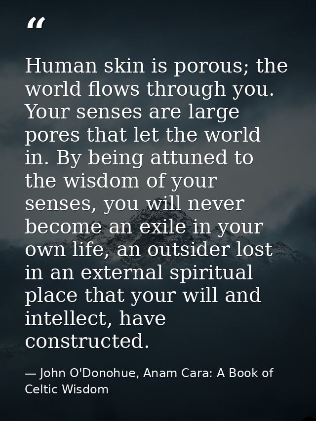 Human skin is porous; the world flows through you. Your senses are large pores that let the world in. By being attuned t — John O'Donohue, Anam Cara: A Book of Celtic Wisdom