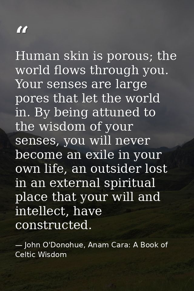 Human skin is porous; the world flows through you. Your senses are large pores that let the world in. By being attuned t — John O'Donohue, Anam Cara: A Book of Celtic Wisdom
