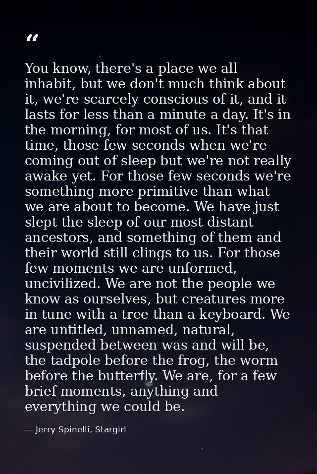 You know, there's a place we all inhabit, but we don't much think about it, we're scarcely conscious of it, and it lasts — Jerry Spinelli, Stargirl