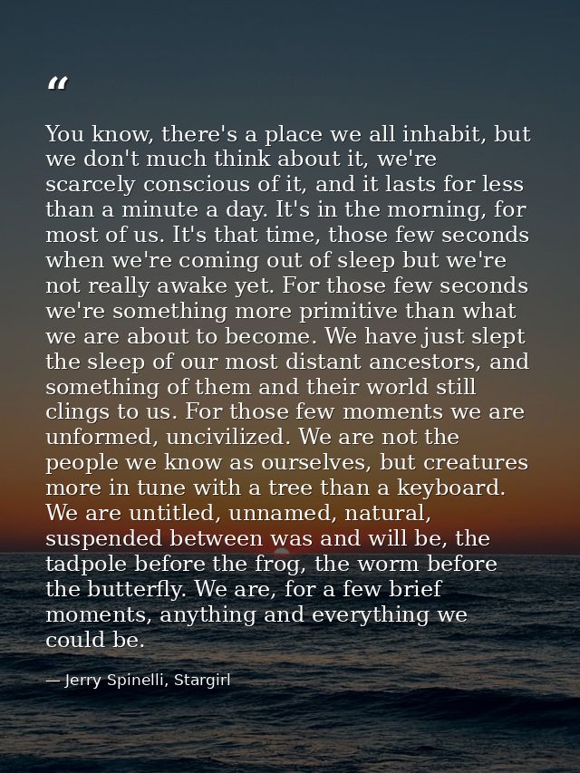 You know, there's a place we all inhabit, but we don't much think about it, we're scarcely conscious of it, and it lasts — Jerry Spinelli, Stargirl