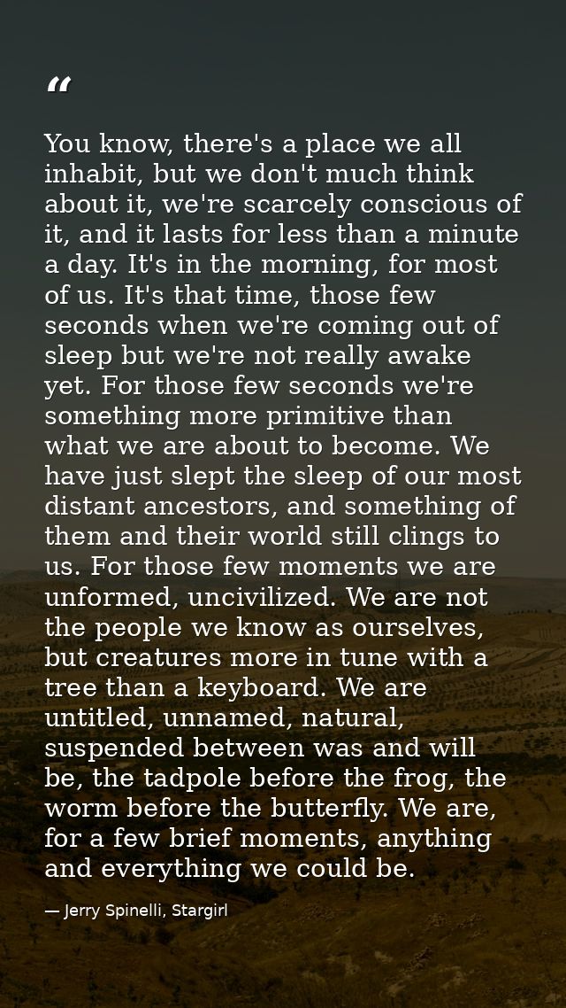 You know, there's a place we all inhabit, but we don't much think about it, we're scarcely conscious of it, and it lasts — Jerry Spinelli, Stargirl