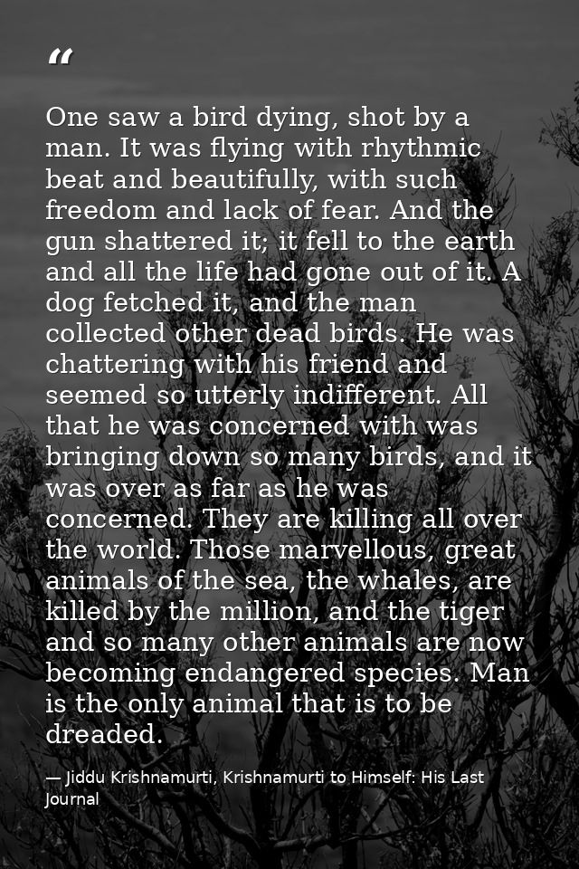 One saw a bird dying, shot by a man. It was flying with rhythmic beat and beautifully, with such freedom and lack of fea — Jiddu Krishnamurti, Krishnamurti to Himself: His Last Journal