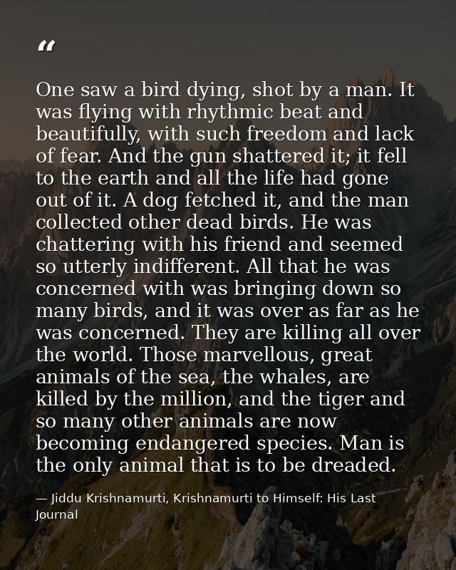 One saw a bird dying, shot by a man. It was flying with rhythmic beat and beautifully, with such freedom and lack of fea — Jiddu Krishnamurti, Krishnamurti to Himself: His Last Journal