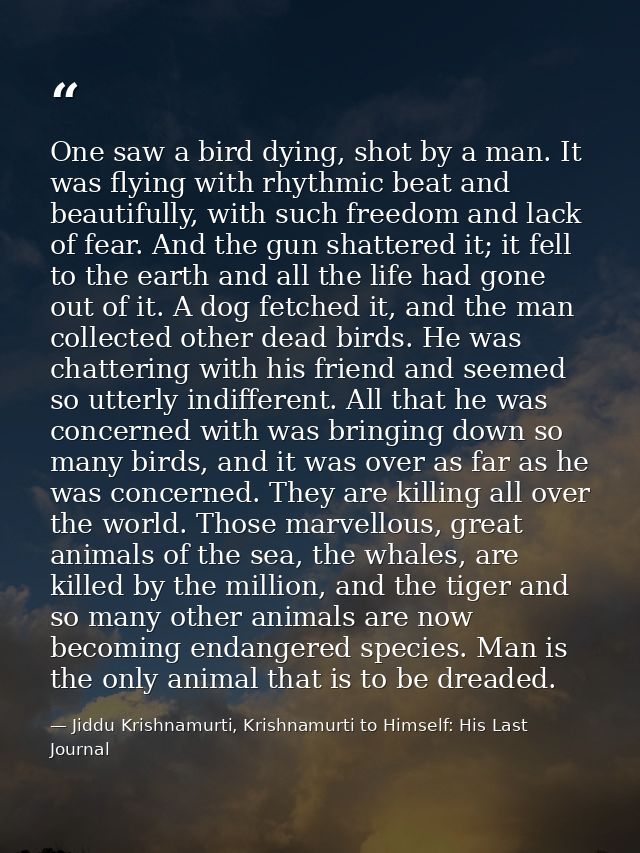 One saw a bird dying, shot by a man. It was flying with rhythmic beat and beautifully, with such freedom and lack of fea — Jiddu Krishnamurti, Krishnamurti to Himself: His Last Journal